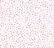10163.jpg