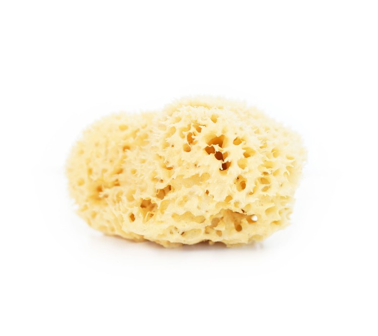Naturalna gąbka morska rozmiar XL